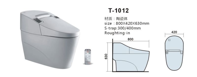 Smart Toilet Seat, Intelligent Water Closet