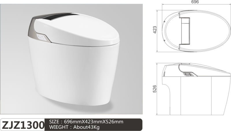 Top Bathroom Heated Electric Intelligent Smart Toilet Bowl