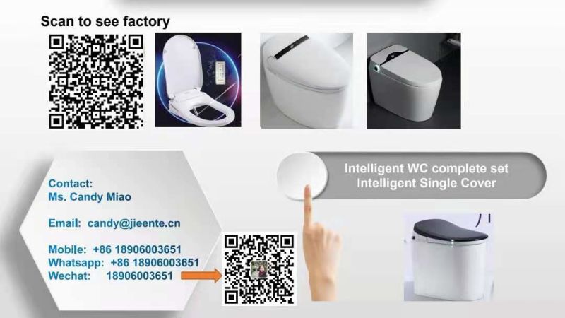 Intelligent Seat Cover with Electric Toilet Bidet