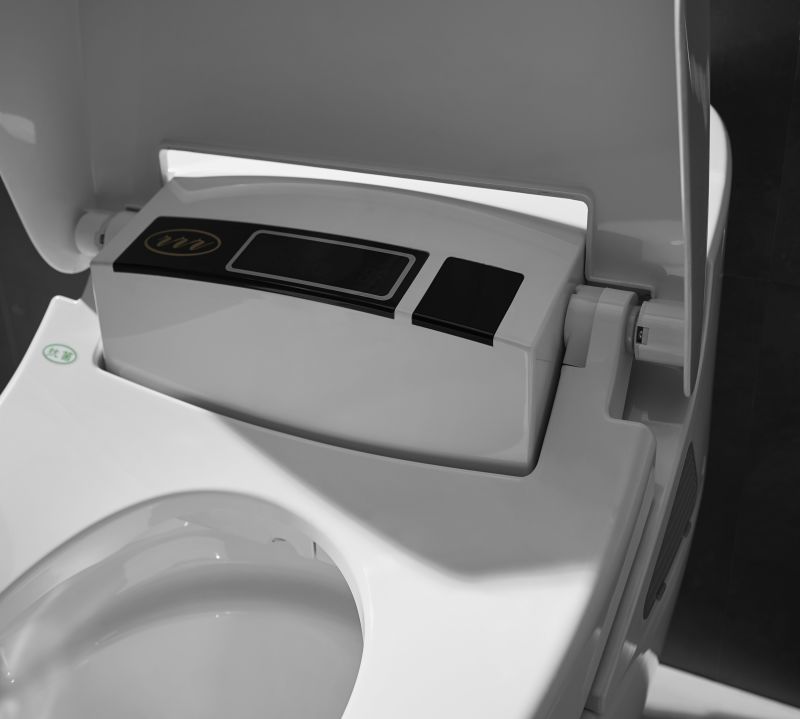 Multi-Functional Sanitary Wc White Electric Intelligent Toilet with Remote Control