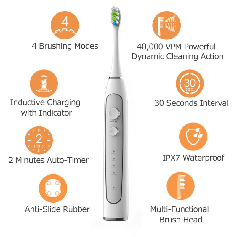 Waterproof Rechargeable Electrical Toothbrush Automatic Adult Electric Ultrasonic Toothbrush