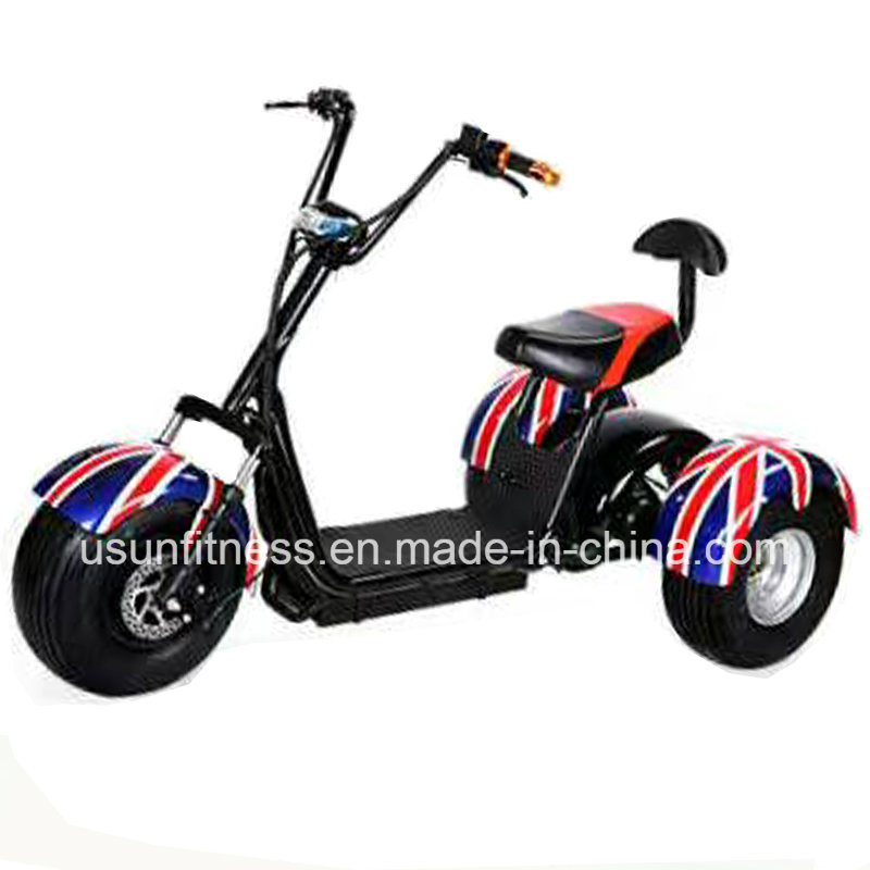 Electric Cargotrike Adult Electric Tricycles The Lithium Battery for Adult