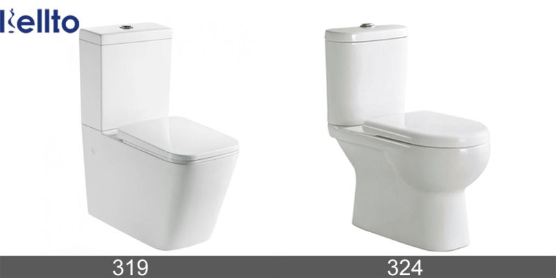 Sanitary Ware Ceramic Rimless Water Closet High Quality Wholesales Intelligent Toilet (B-100)