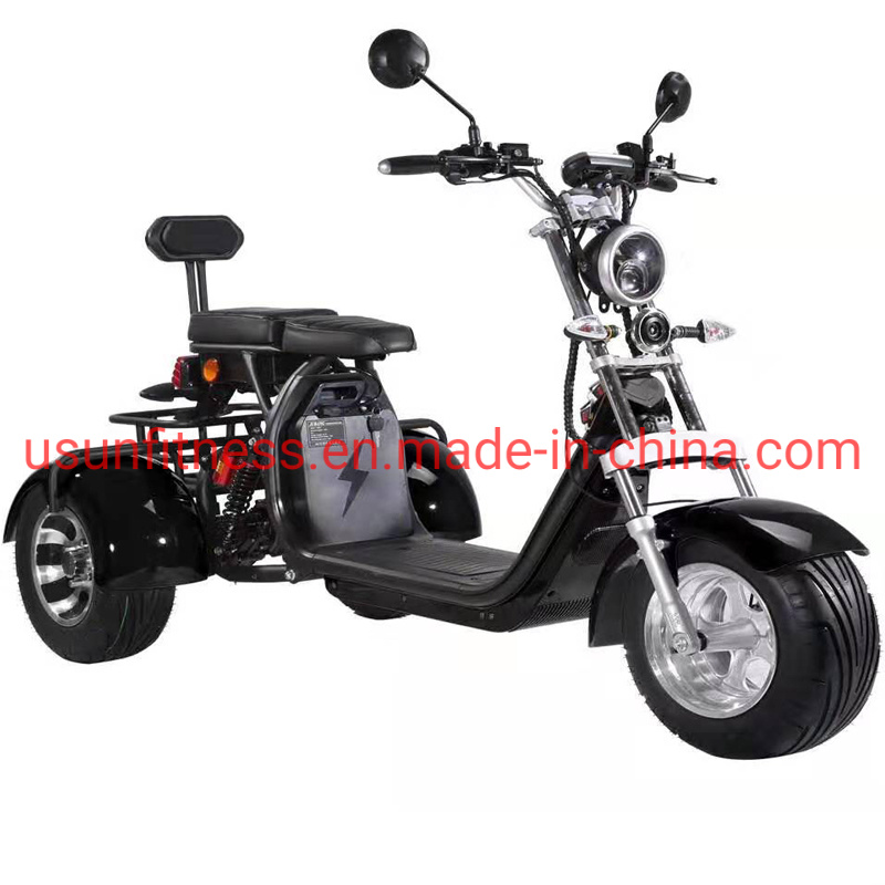 Electric Cargotrike Adult Electric Tricycles The Lithium Battery for Adult