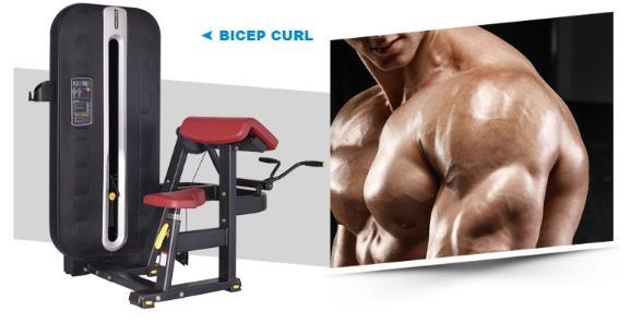 Commercial Fitness Equipment of Seated Row