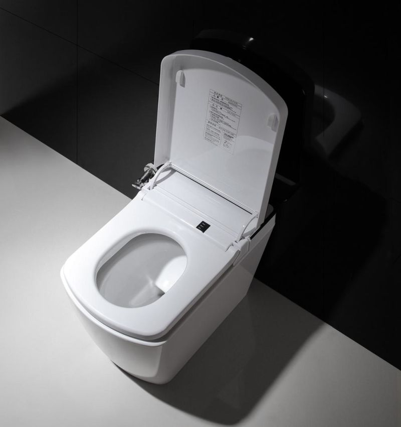 Energy Saving Luxury Electric Wc Modern Ceramic ABS Smart Toilet Intelligent Toliet