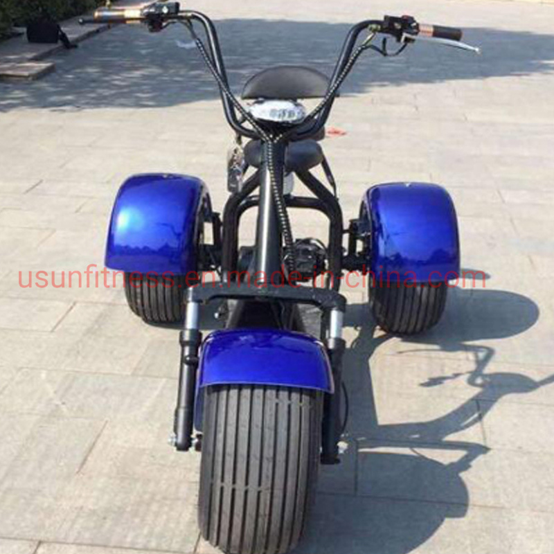 Electric Cargotrike Adult Electric Tricycles The Lithium Battery for Adult