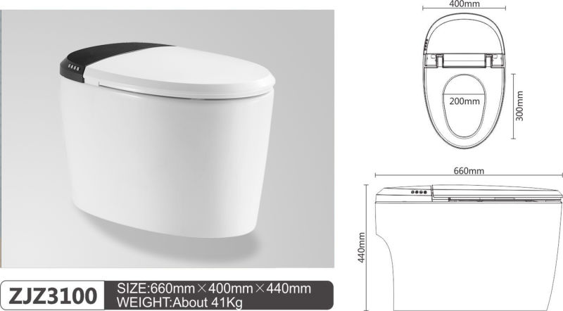 Wholesale Sanitary Ware Price Automatic Flush Electric Wc Smart Toilet