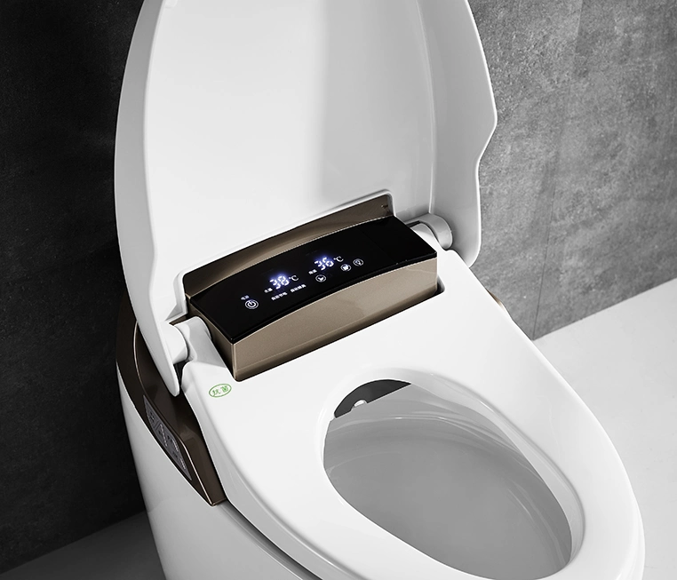 Modern Bathroom Automatic Flush Electronic Integrated Bidet Toilet