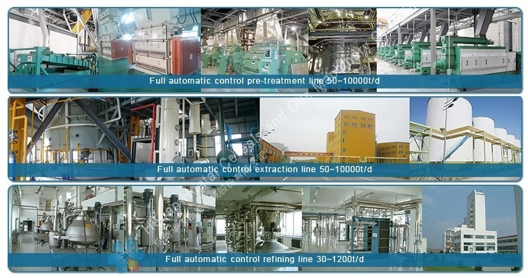 Complete Edible Oil Plant Edible Oil Packing Solution Edible Oil Mill Plant