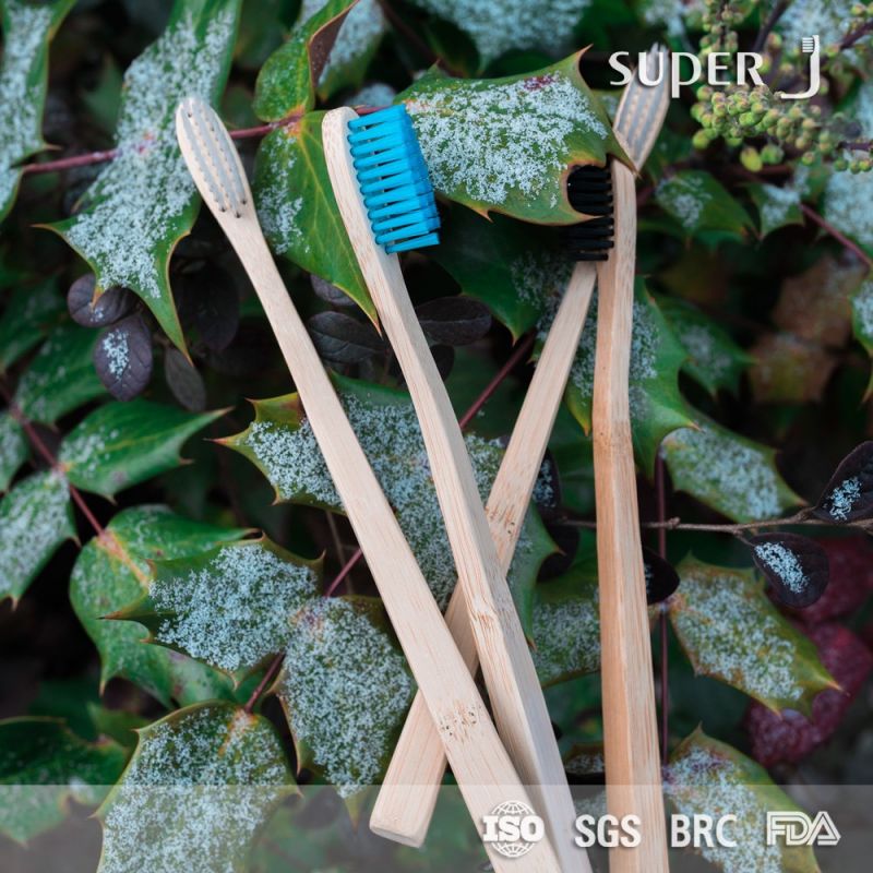 2020 Popular BPA Free Natural Bamboo Toothbrush