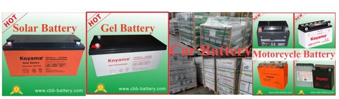 12V 210ah DC210-12 Koyama Rechargeable AGM Battery for Electric Boats