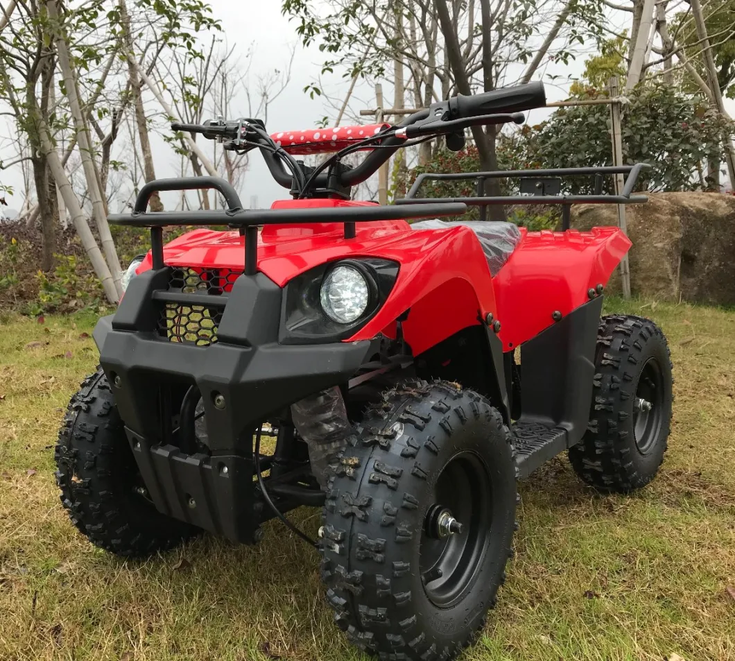 QUAD elettrico elettrico da 800 W per bambini, ATV elettrico da 500 W per bambini Per bambini