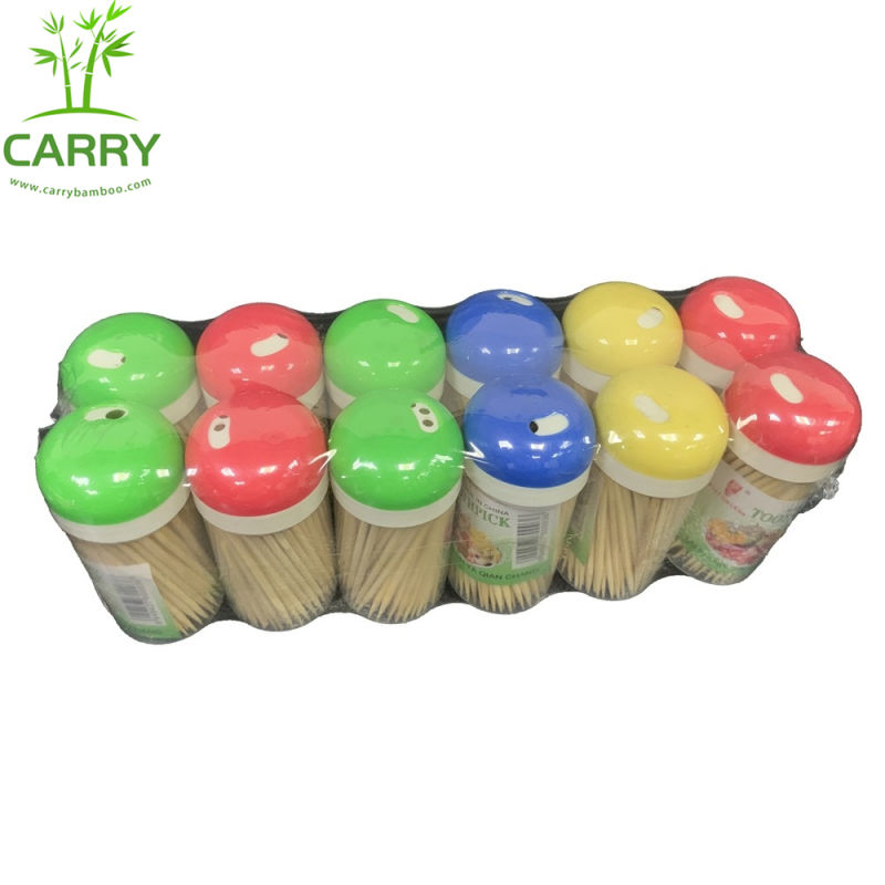 Multicolor-Bottle Bamboo Toothpicks for Domestic Bamboo Toothpicks