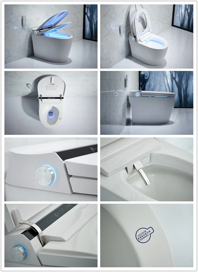 One Piece White Color Smart Toilet Wc for Villa (919)