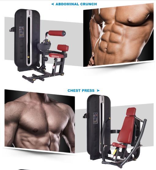 Commercial Fitness Equipment of Seated Row