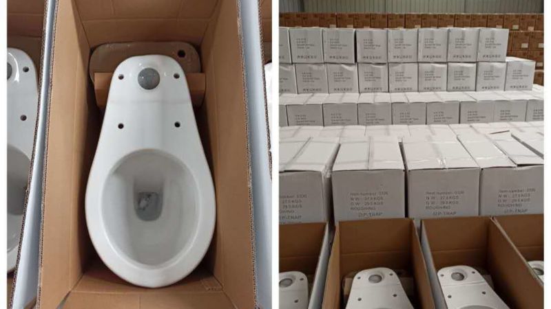 Sairi Ceramic Sanitary Toilet Chinese Factory Washdown Close-Coupled Wc Toilet