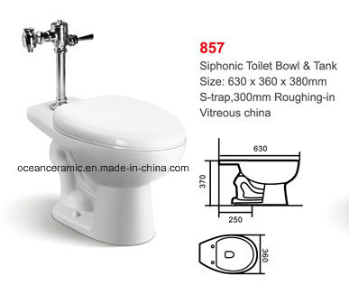 Sc-070 Soft Closing Toilet Seat for Public Toilet Bowl