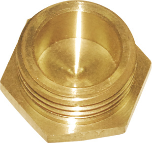 Brass Fitting /Brass Bush/Brass Pipe Fitting (a. 0310)