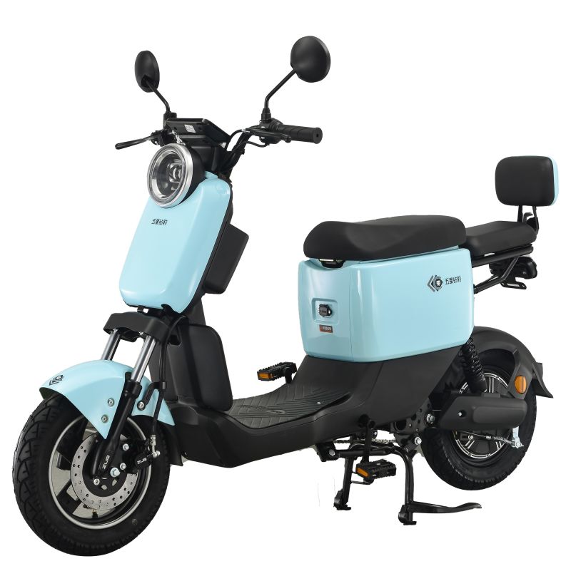 Electric Bike Can Use Lead-Acid Battery and Lithium Battery