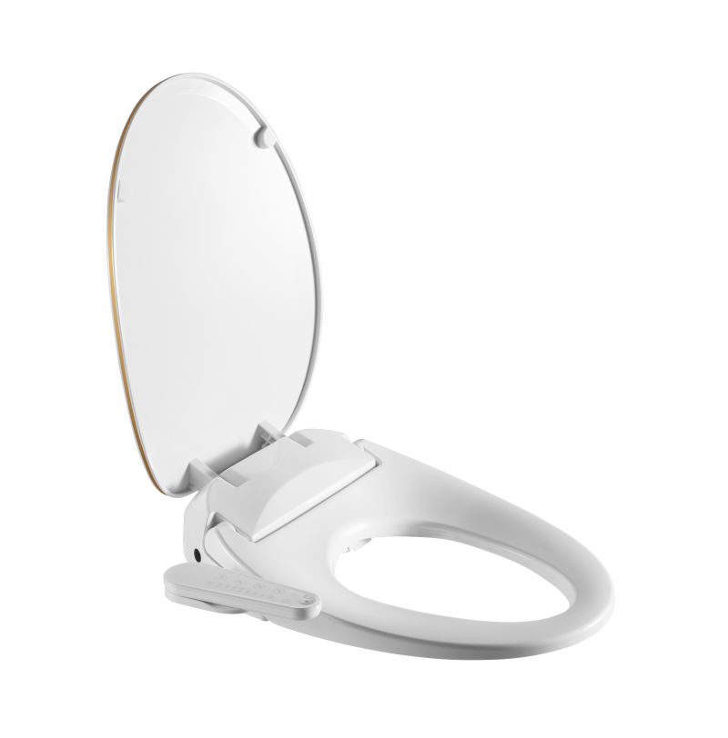 Sanitary Plastic Elongated Electric Intelligent Bidet Wc Toilet Seat