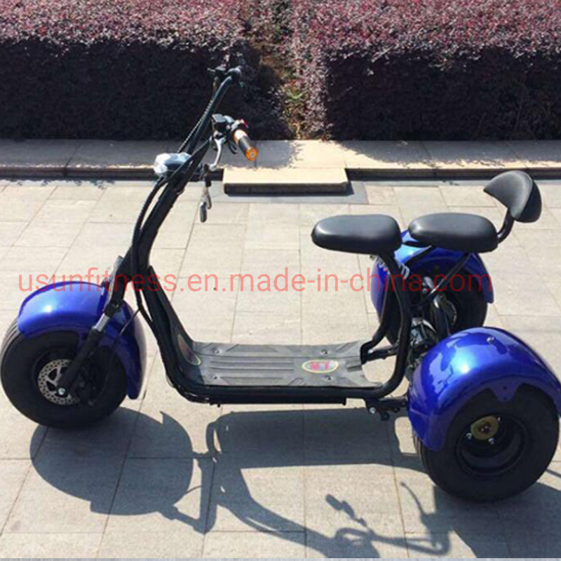 Electric Cargotrike Adult Electric Tricycles The Lithium Battery for Adult