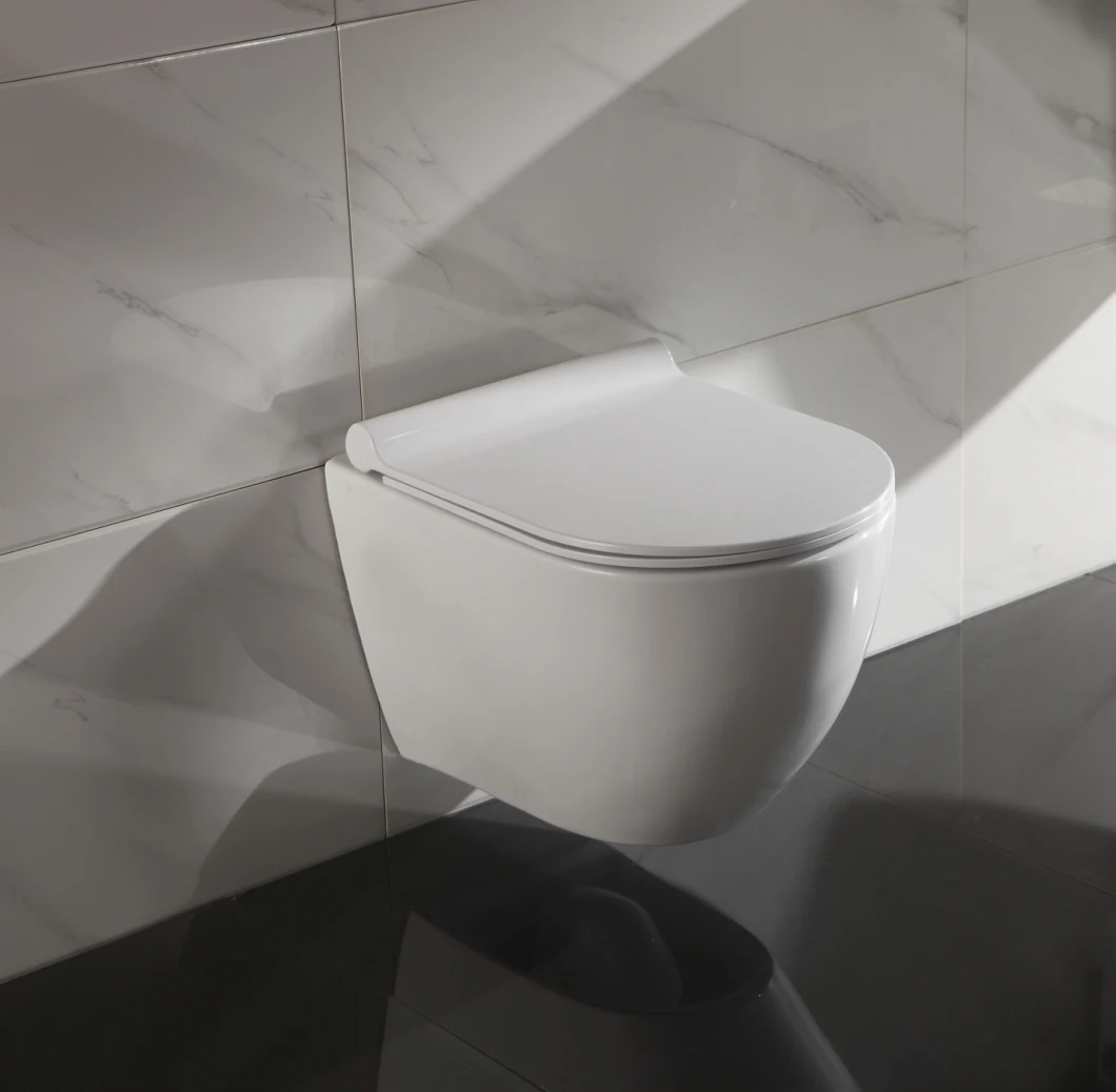 Washdown Wall-Hung Wc Toilet with UF Toilet Seat