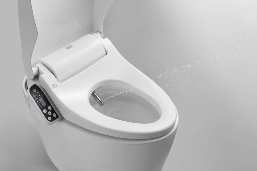 High Grade Hygienic Electric Wc Intelligent Bidet Smart Toilet Seat