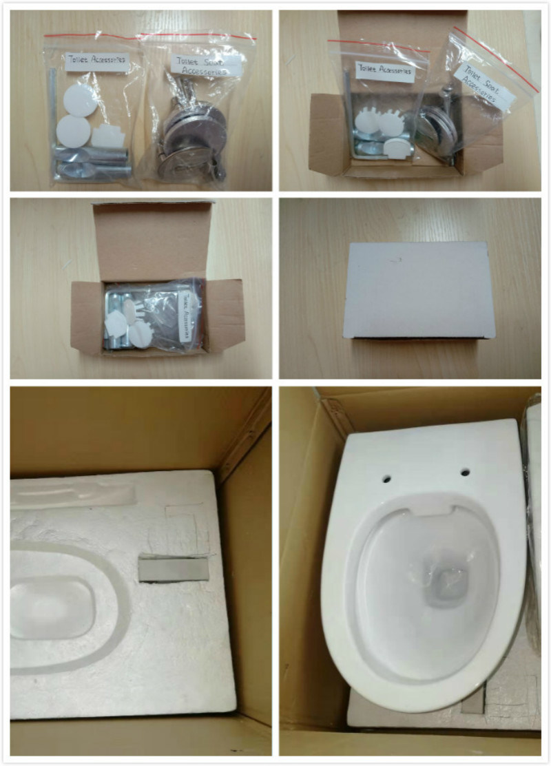 Ziax Wall Hung Wc Pan Ceramic Toilet