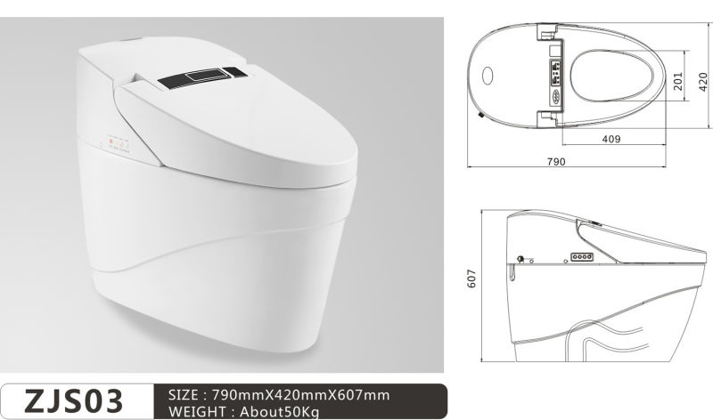 Multi-Functional Water Closet Automatic Turbo Flush Intelligent Wc Toilet