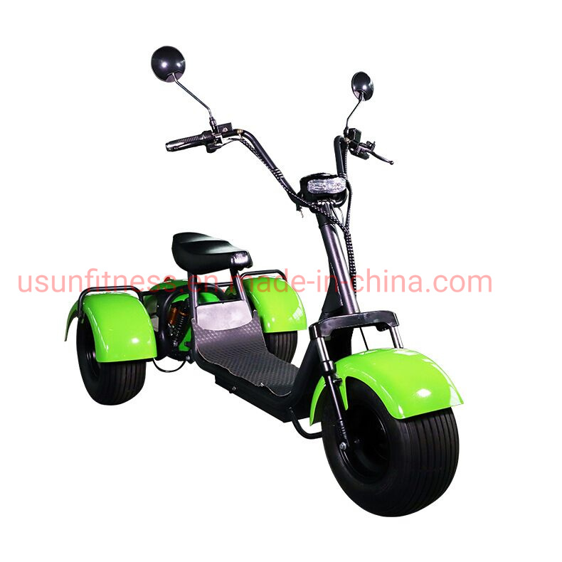 Electric Cargotrike Adult Electric Tricycles The Lithium Battery for Adult