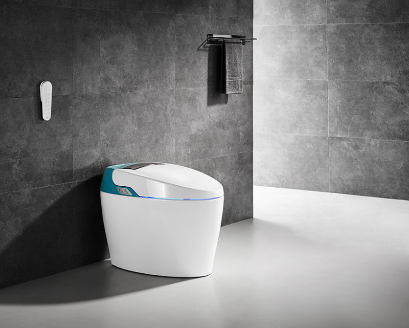 Multi-Functional Wc Automatic Flush Smart Bathroom Toilet in Colors