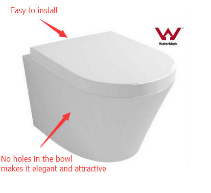 Watermark Conceal Install Screws Wall Hung Round Ceramic Toilet (6013)
