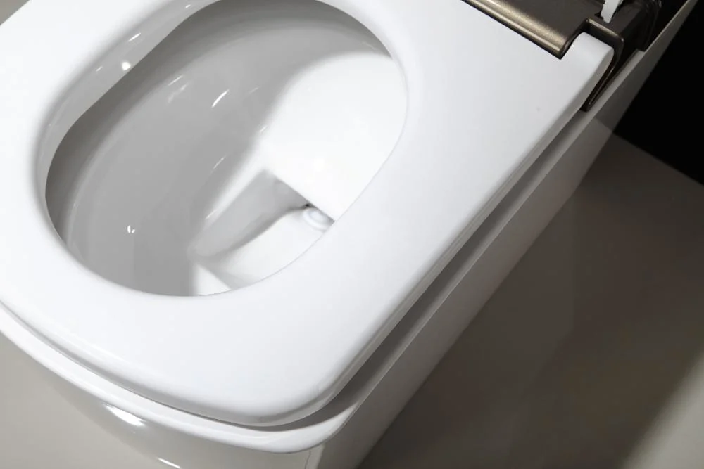 Standard Export Automatic Flush Toilet Bidet All in One Piece Smart Toliet