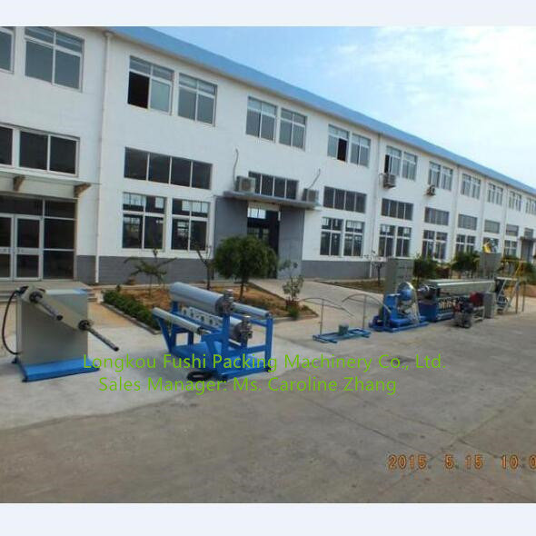 China Factory Plastic Machine Expanded PE Foam Sheet Extrusion Line