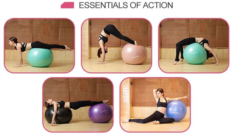 Exercise Gym Ball/PVC Yoga Gym Ball Gymnastics Peanut Gym Ball