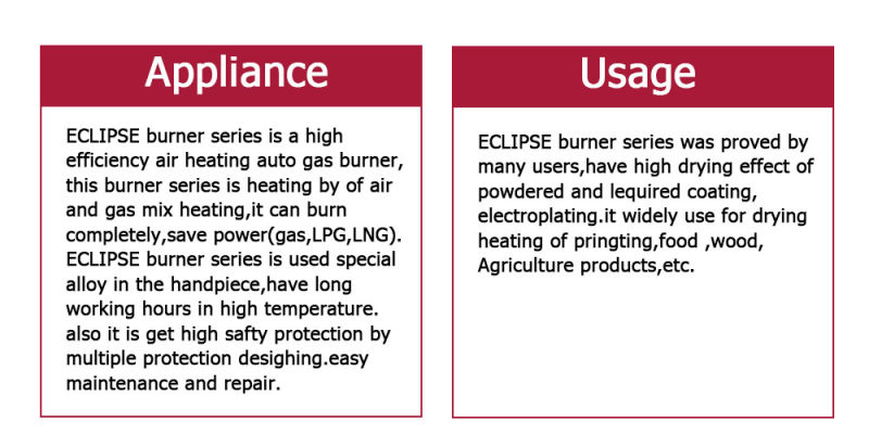 China Industrial Heat Exchanger Eclipse Gas Burner for Industry Boiler