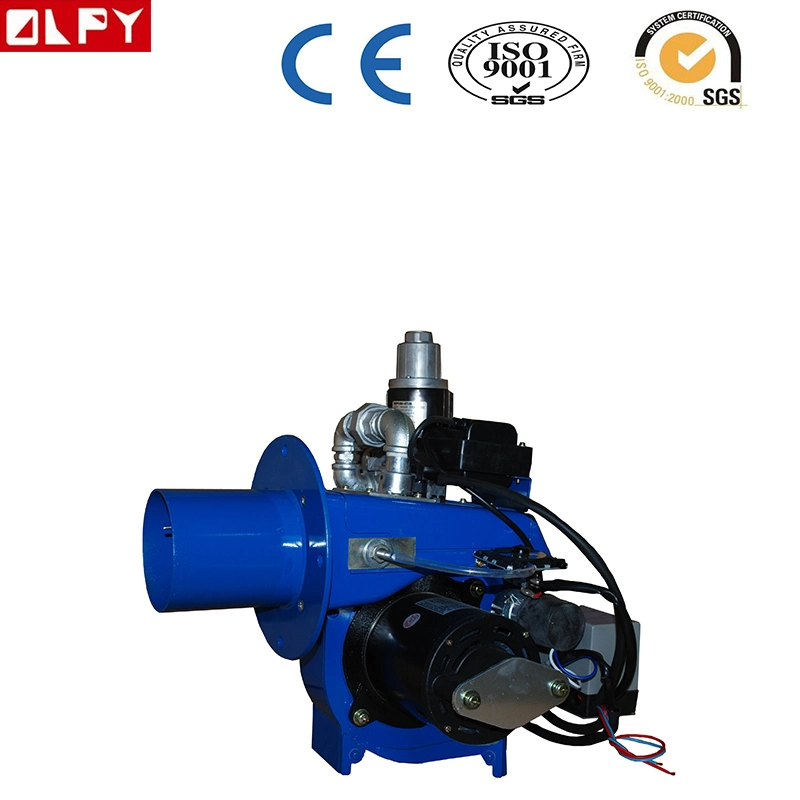 LPG Gas Burner or Lnp Gas Burner in Steam Boiler