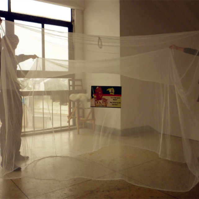 Warp Knitted Polyester Mosquito Net Fabric Mosquito Net Fabric for Mosquito Net