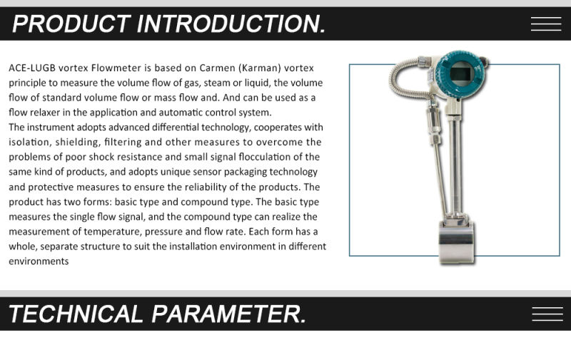 Good Price SS304 Body Compressed Air Flowmeter Vortex Compressed Air Flow Meter