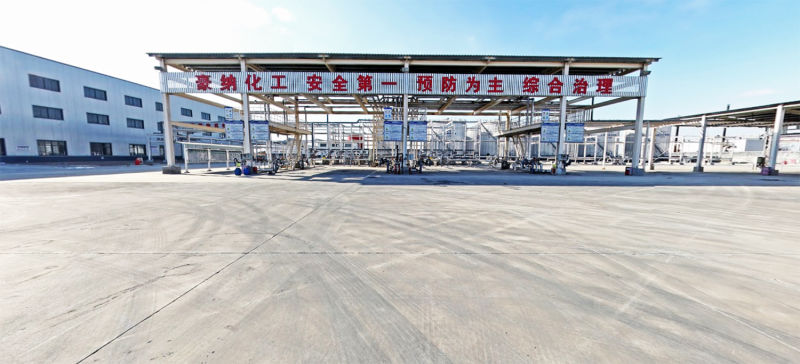 Dispersing Agent for Waterborne Coating
