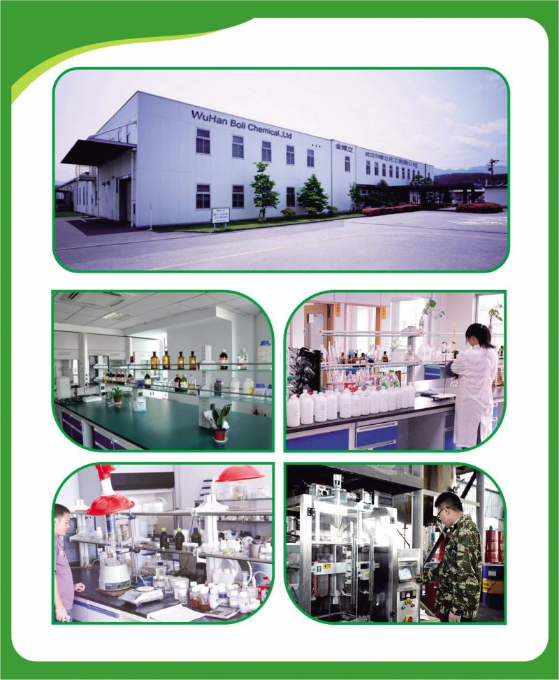 One Component China Factory High Quality Fast Quick Drying Binder for Fireproof Door