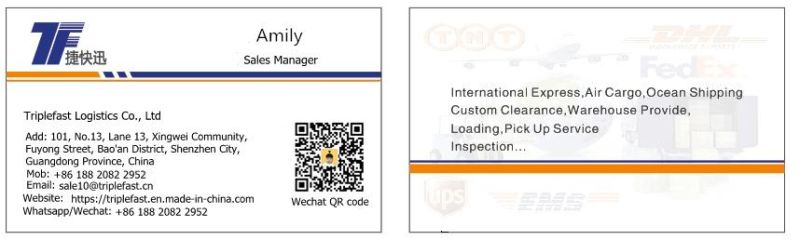 TNT Professional Shipping Agent Internatonal Shipping Agent From China