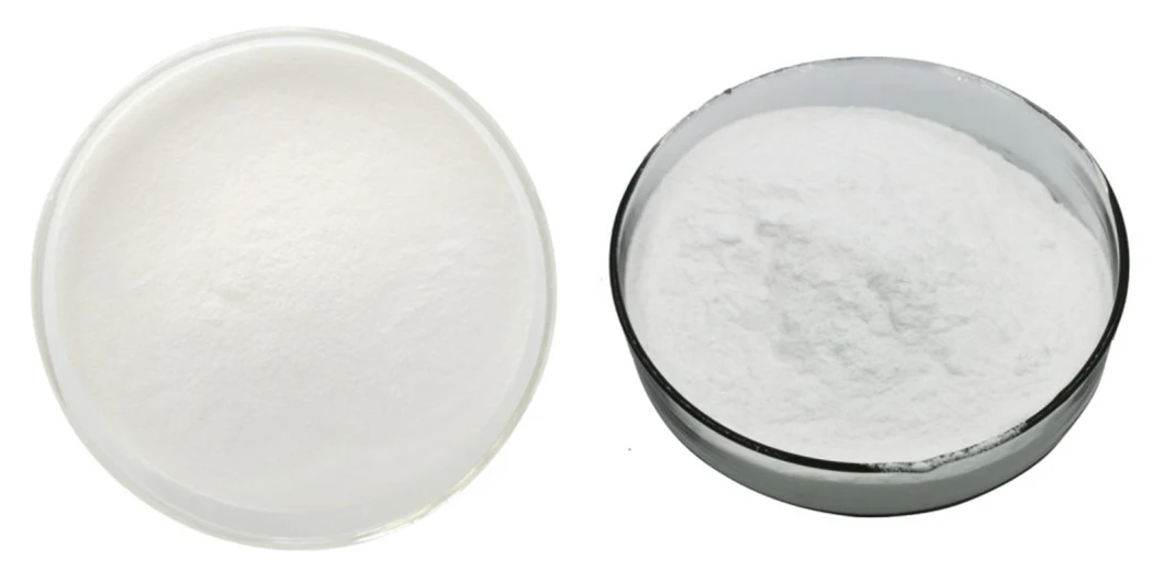 Sodium Gluconate Detergent Cement Retarder as Chelating Agent