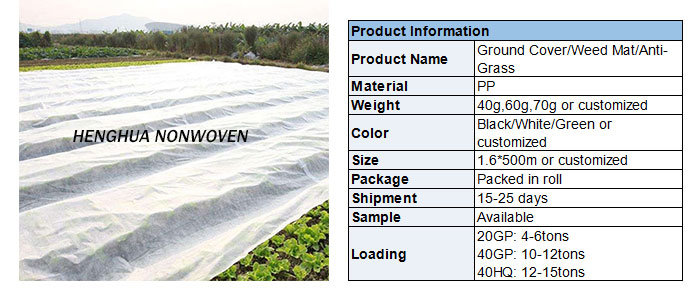 Anti-UV PP Spunbond Nonwoven Fabric for Ground Cover/Hard Pool Cover Above Ground