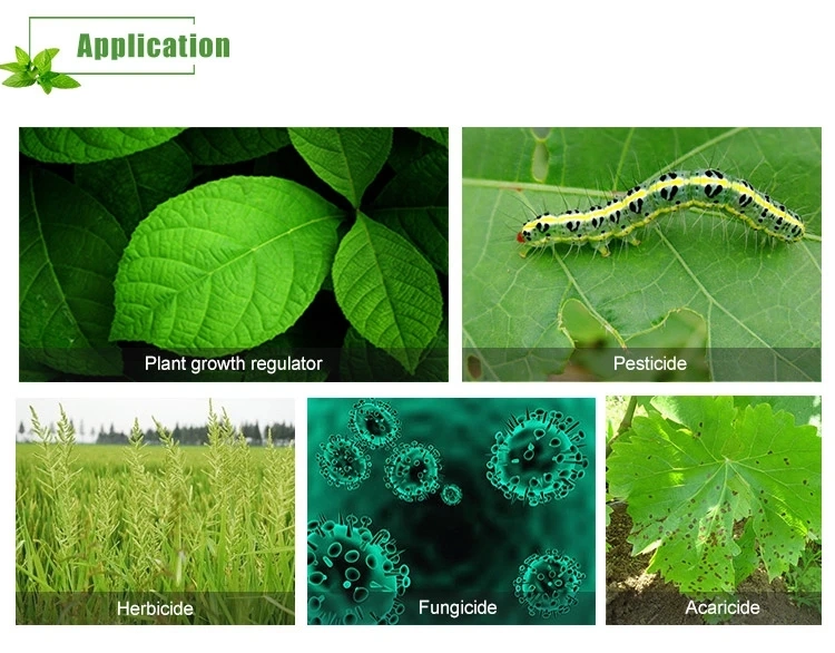 QS-307 Agro Silicone Adjuvant/ Penetrating Agent /Spreading Agent/Wetting Agent (CAS No.: 27306-78-1)