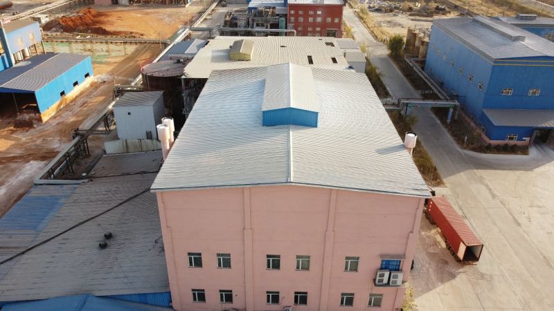 Duoge Brand The Best Quality Blowing Agent Advancell Ws606 for Textile Products