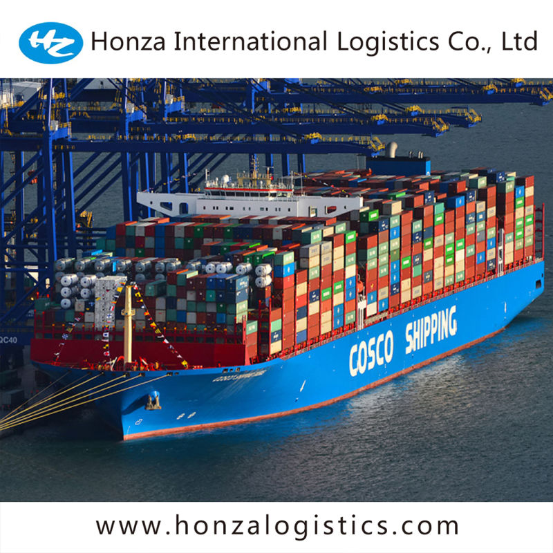 Shipping Agent Service Shipping Agent From China to Morocco