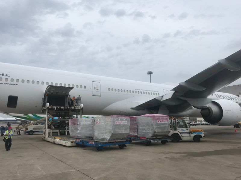 Air Freight Cargo Agent From China to Itajai Best Shipping Agent Service