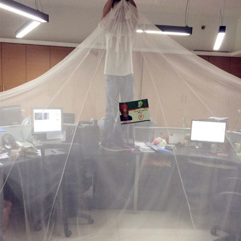 Warp Knitted Polyester Mosquito Net Fabric Mosquito Net Fabric for Mosquito Net
